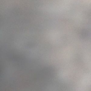 Meet your Posher, Ashlee